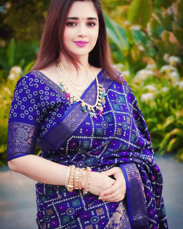 আলাদা ব্লাউজ পিস সহ বক্স চান্দুরী সিল্ক শাড়ী